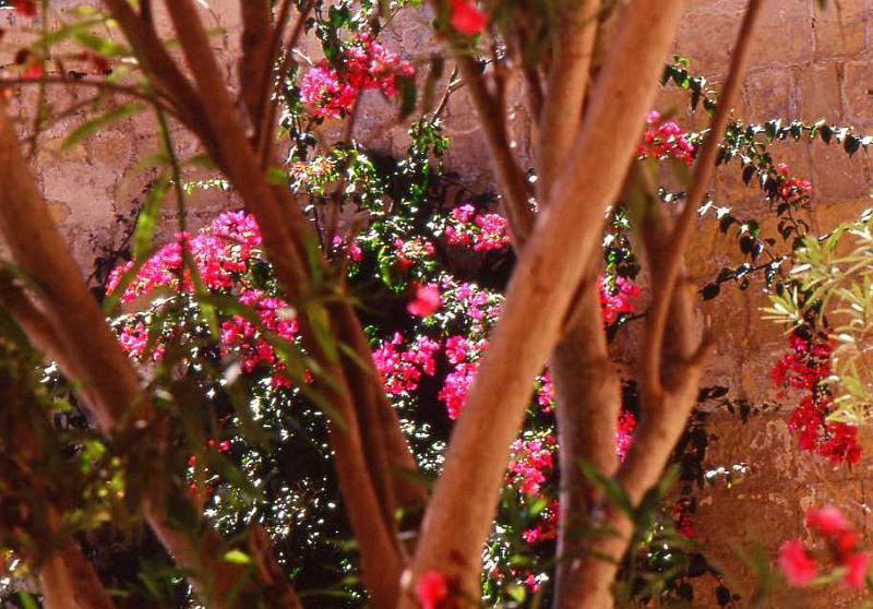 177-Malta,Medina,1 settembre 2006.jpg